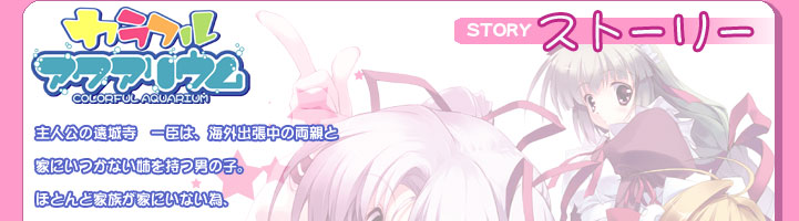 �J���t�� �A�N�A���E�� STORY �X�g�[���[