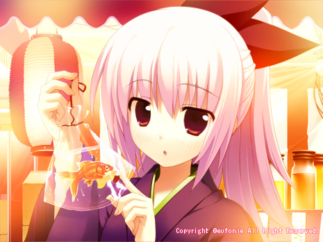 SAMPLE CG 12