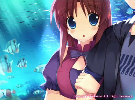 SAMPLE CG 02