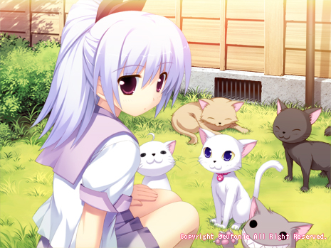 SAMPLE CG 04